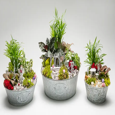 Weedin Fairy Garden